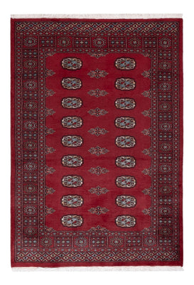 Pakistan Teppich - 178 x 122 cm - rot