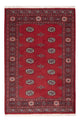 Pakistan Teppich 184x126cm - Orientteppich