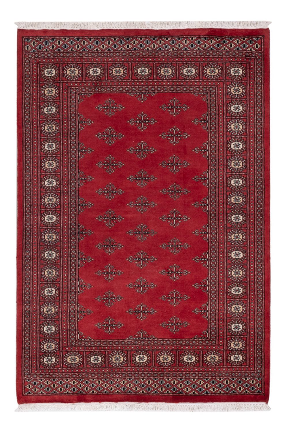 Pakistan Teppich - 183 x 124 cm - rot