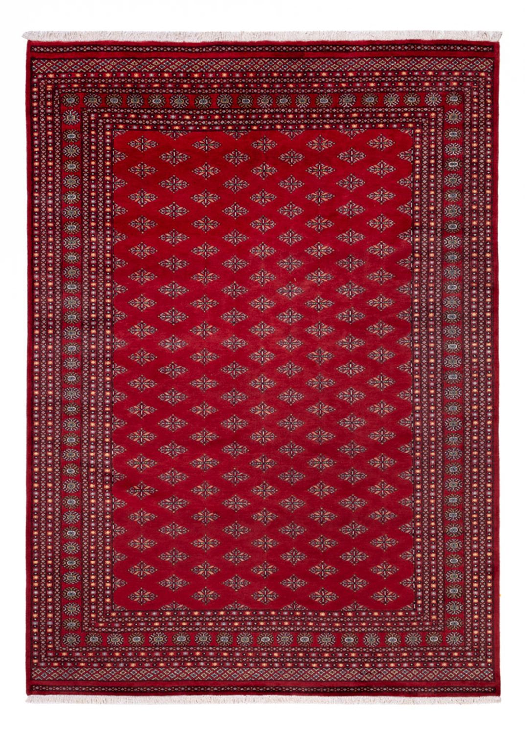 Afghan Teppich - Buchara - 350 x 253 cm - rot
