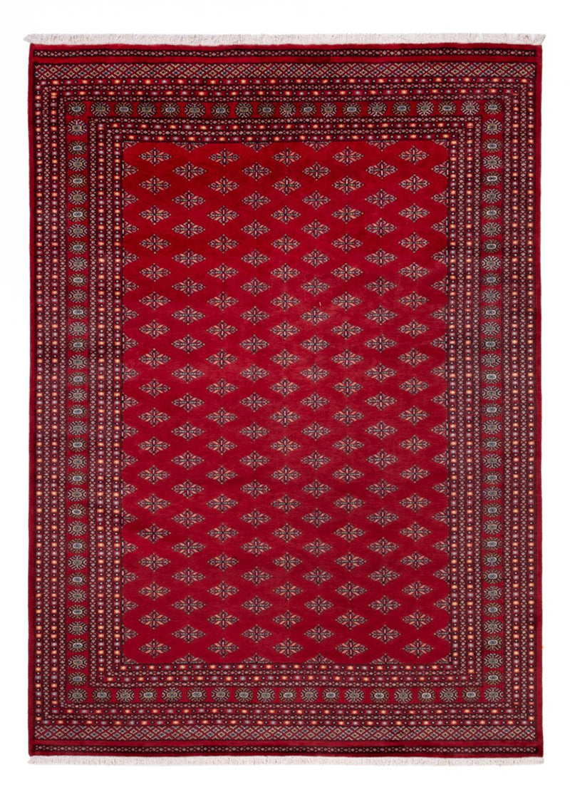 Afghan Teppich - Buchara - 350 x 253 cm - rot