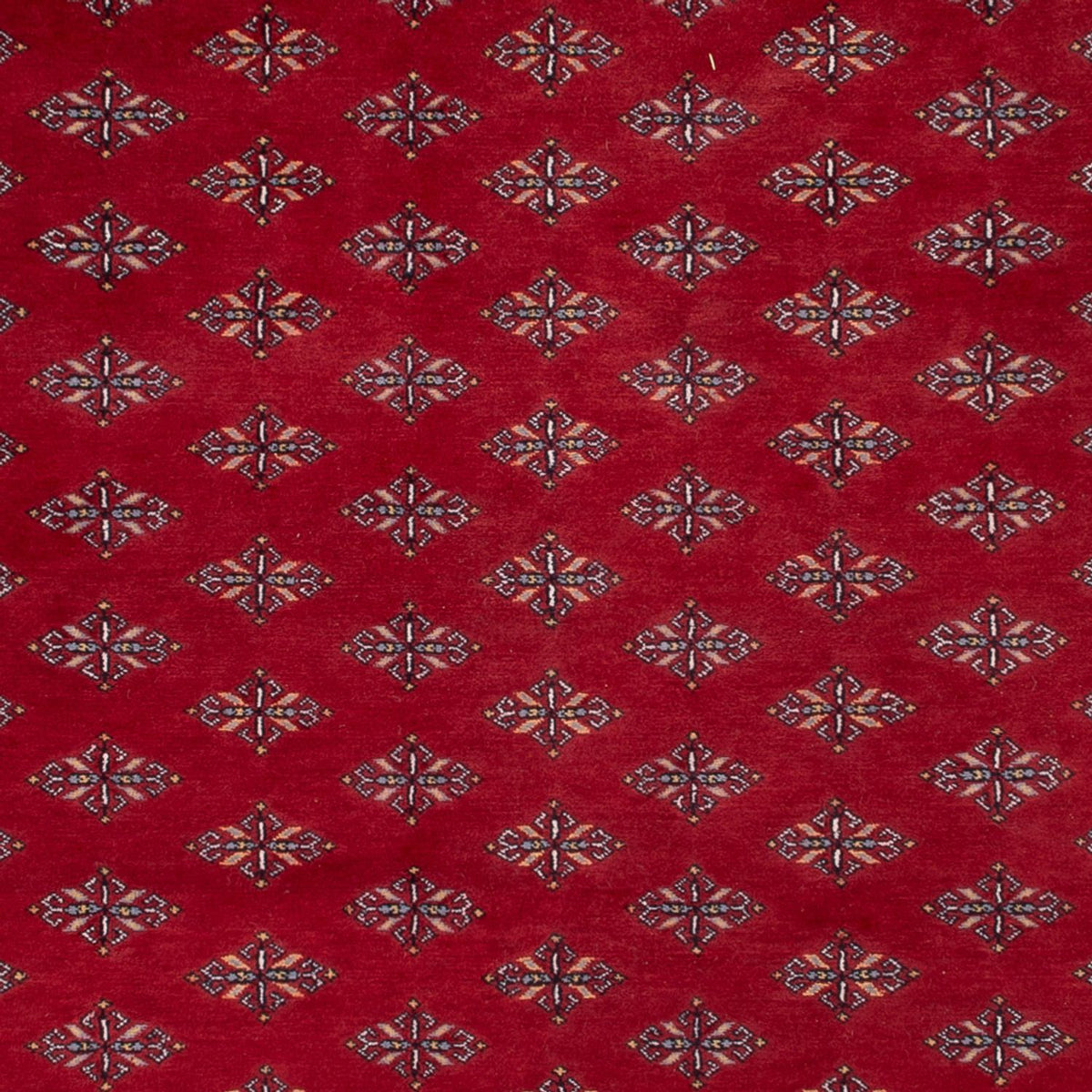 Afghan Teppich - Buchara - 350 x 253 cm - rot