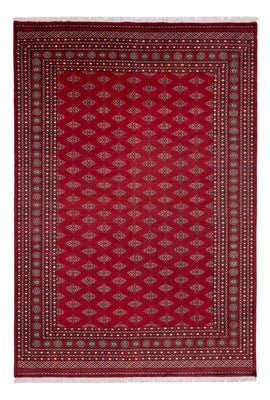 Afghan Teppich - Buchara - 365 x 249 cm - rot