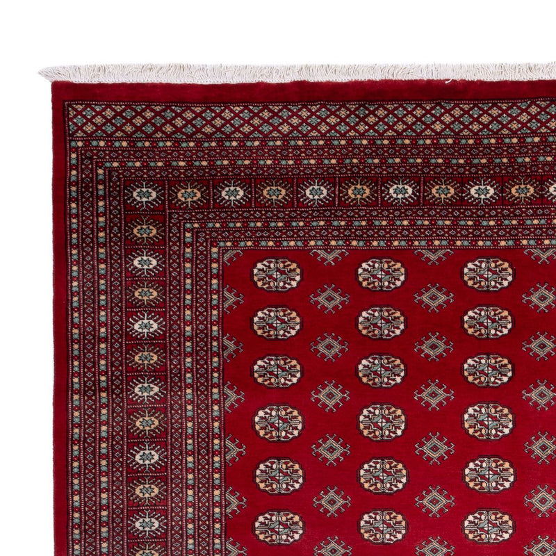 Afghan Teppich - Buchara - 362 x 278 cm - rot