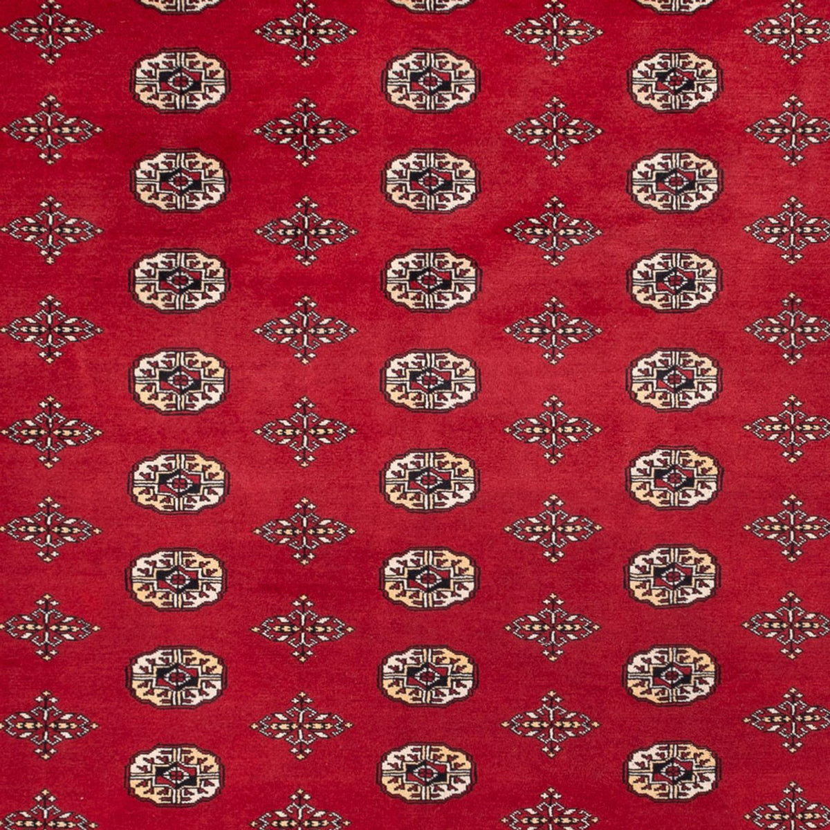 Afghan Teppich - Buchara - 369 x 275 cm - rot