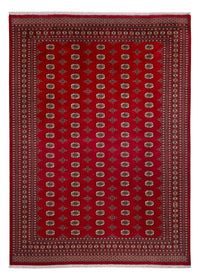Tappeto afgano - Bukhara - 387 x 276 cm - rosso