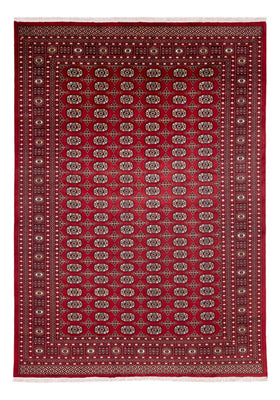 Afghan Teppich - Buchara - 346 x 241 cm - rot