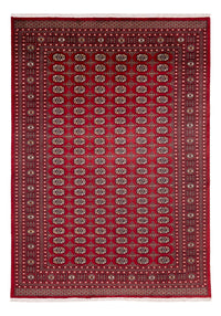 Tapis afghan - Boukhara - 346 x 241 cm - rouge
