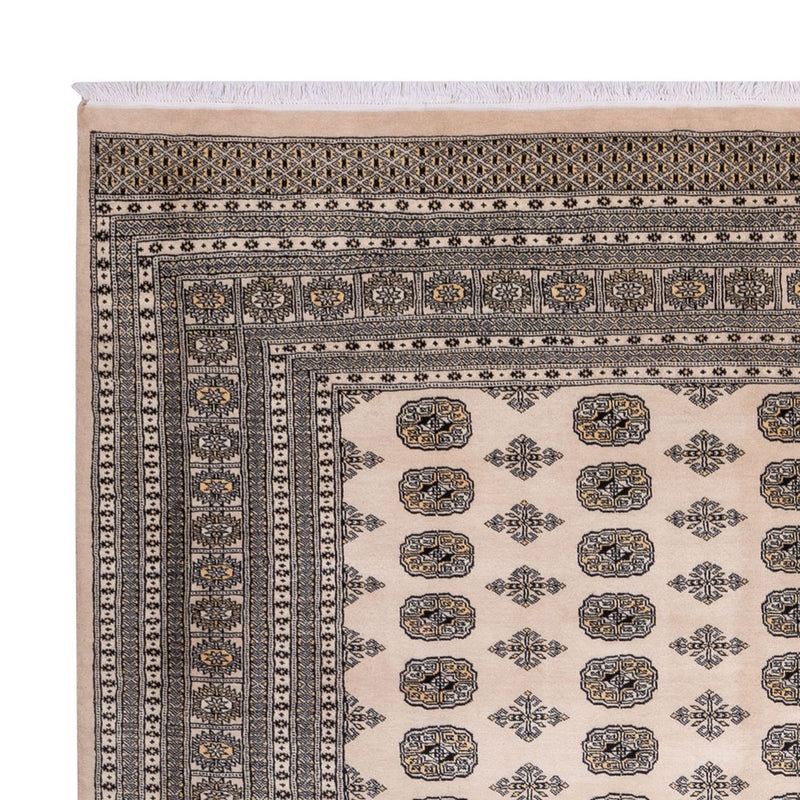 Afghan Teppich - Buchara - 359 x 278 cm - beige