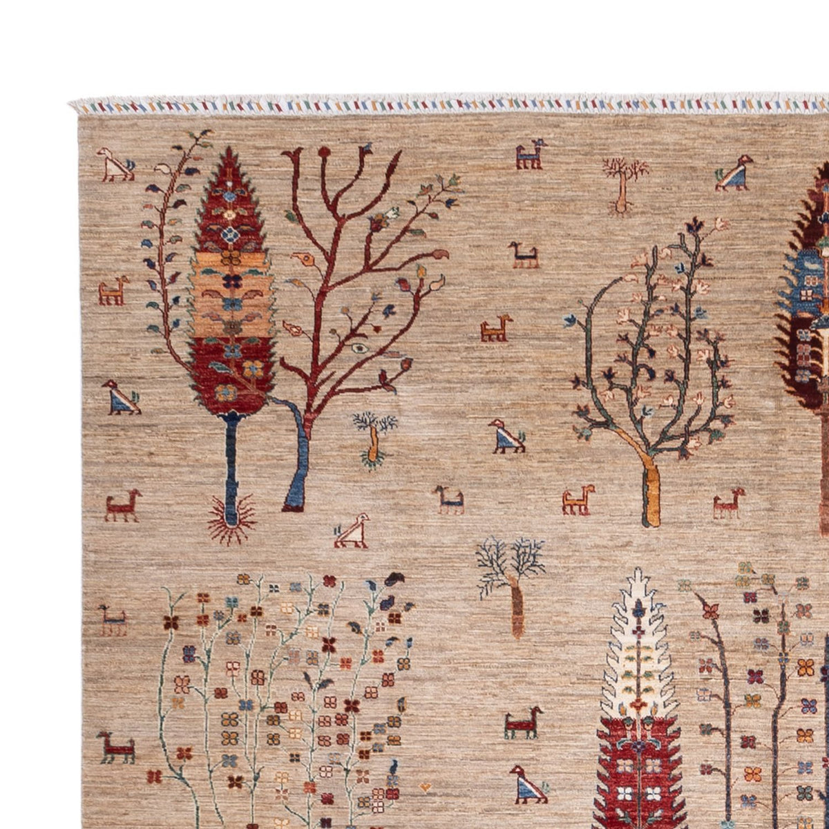 Ziegler Teppich - Ariana - 392 x 292 cm - beige