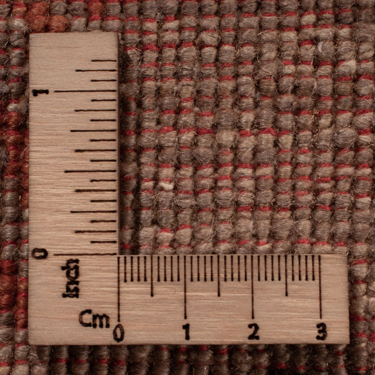 Ziegler Teppich - Ariana - 372 x 279 cm - beige