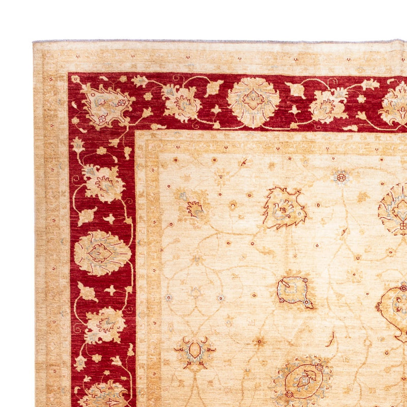 Ziegler Teppich - 584 x 394 cm - beige