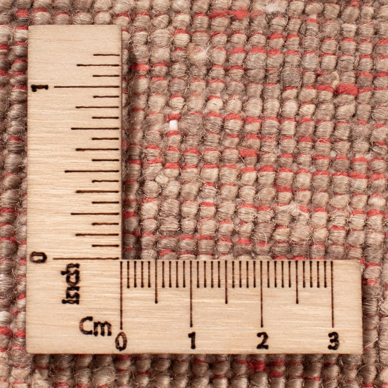 Ziegler Teppich - Ariana - 243 x 172 cm - beige