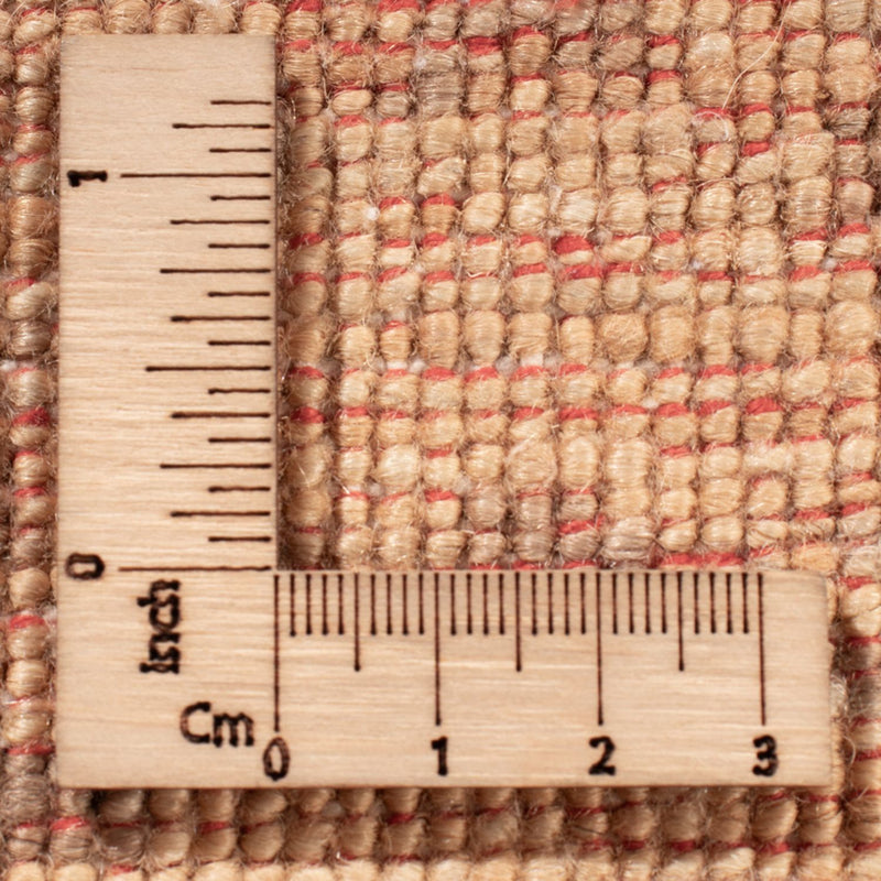 Ziegler Teppich - Ariana - 244 x 177 cm - beige