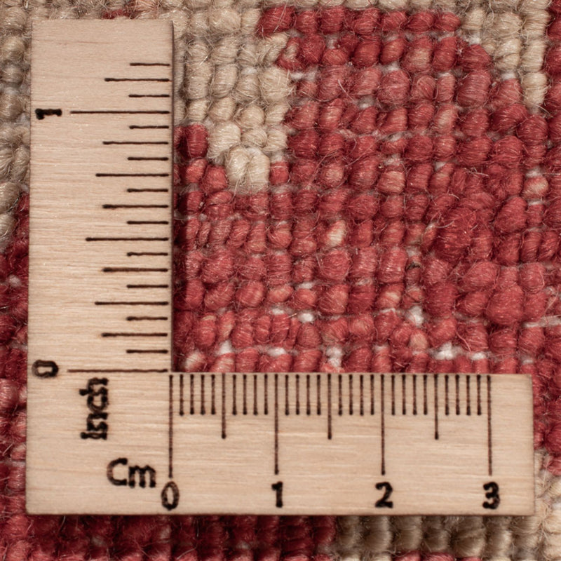 Ziegler Teppich - 494 x 301 cm - beige