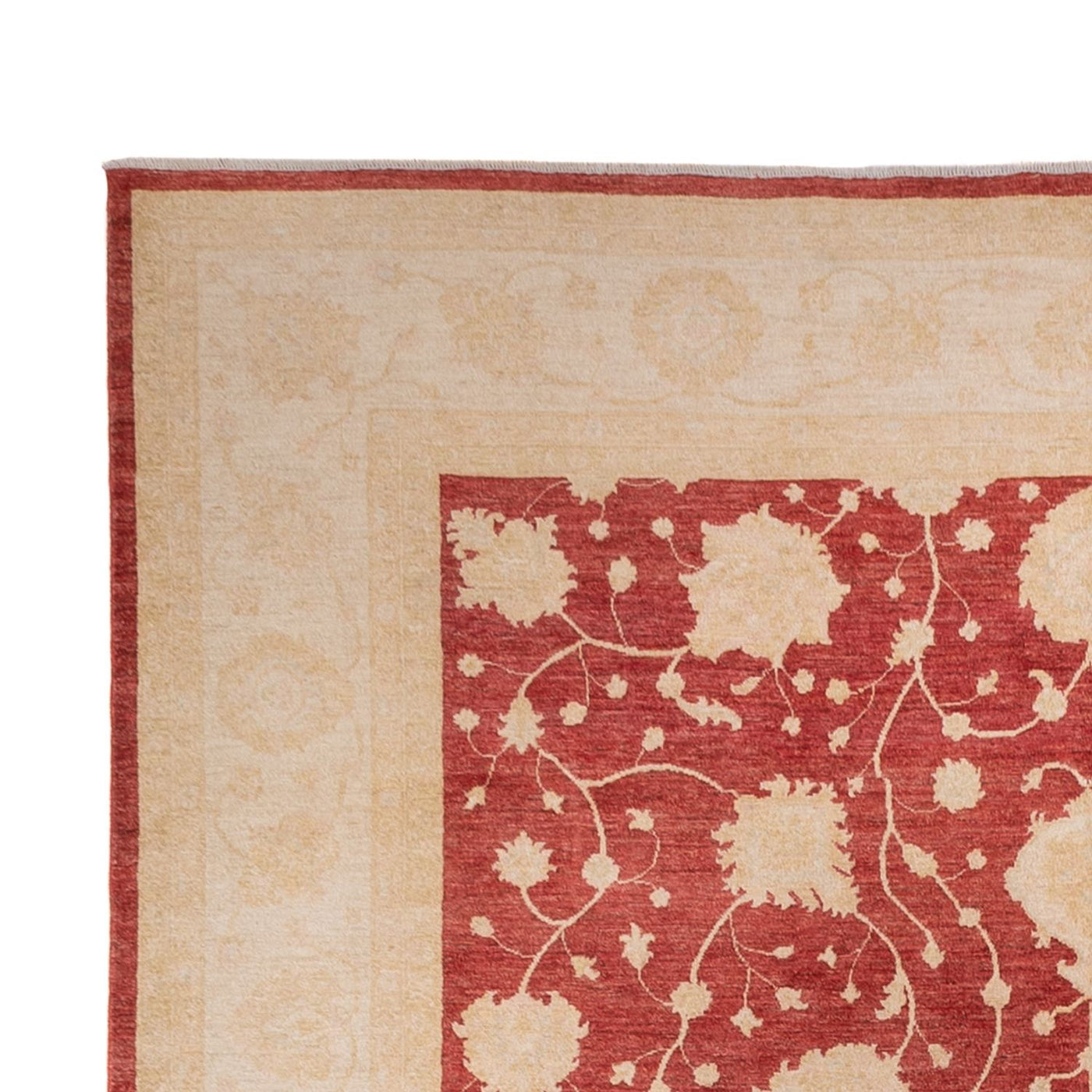 Tapis Ziegler 484x304cm - Tapis oriental