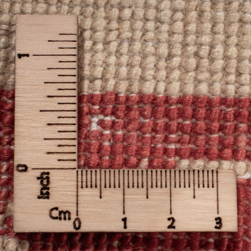 Ziegler Teppich - 488 x 398 cm - beige