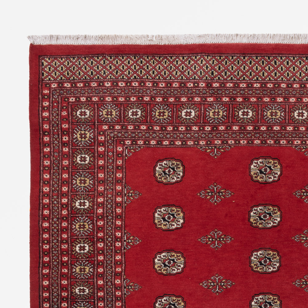 Tapis Pakistani 331x251cm - Tapis oriental