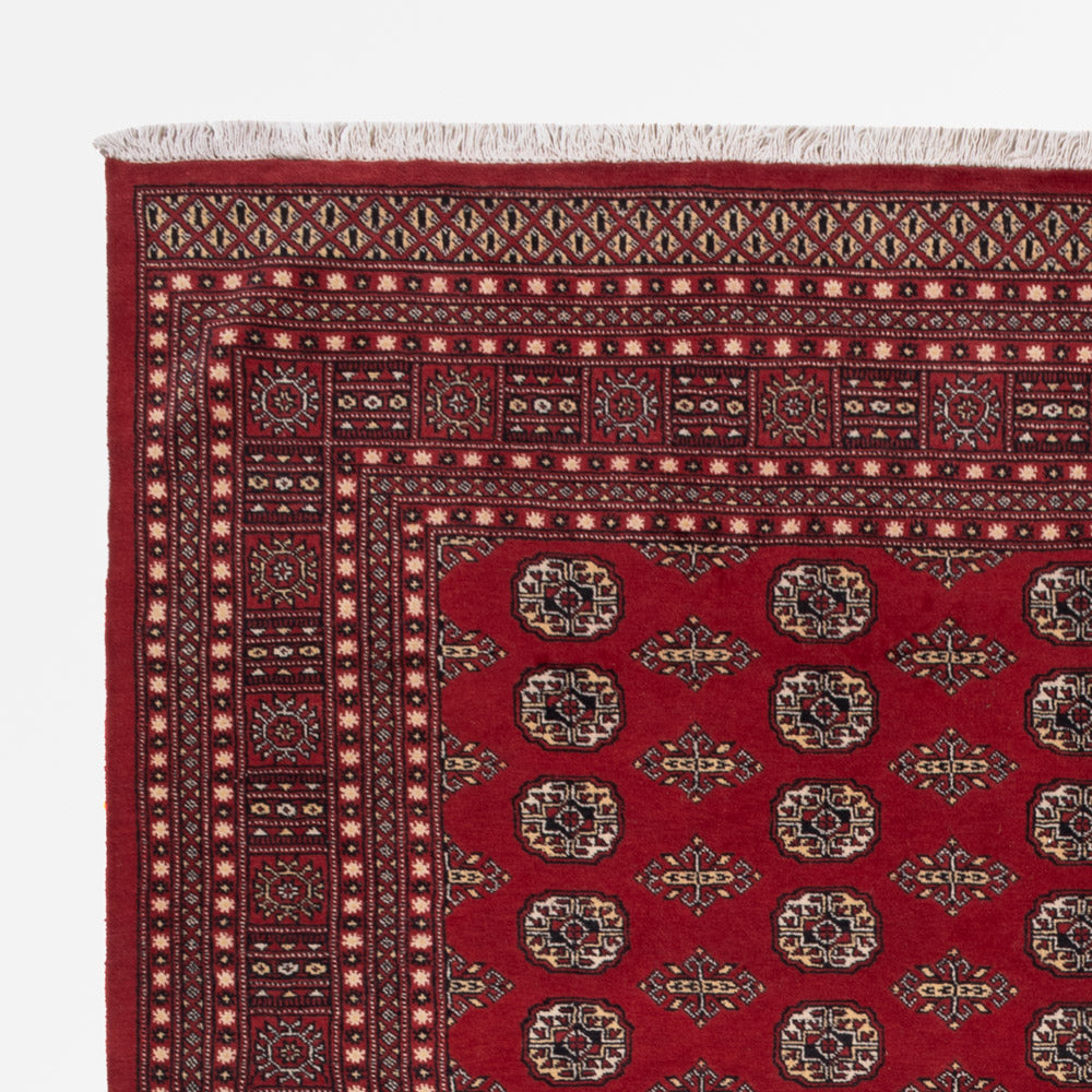 Tapis Pakistani 248x318cm - Tapis oriental