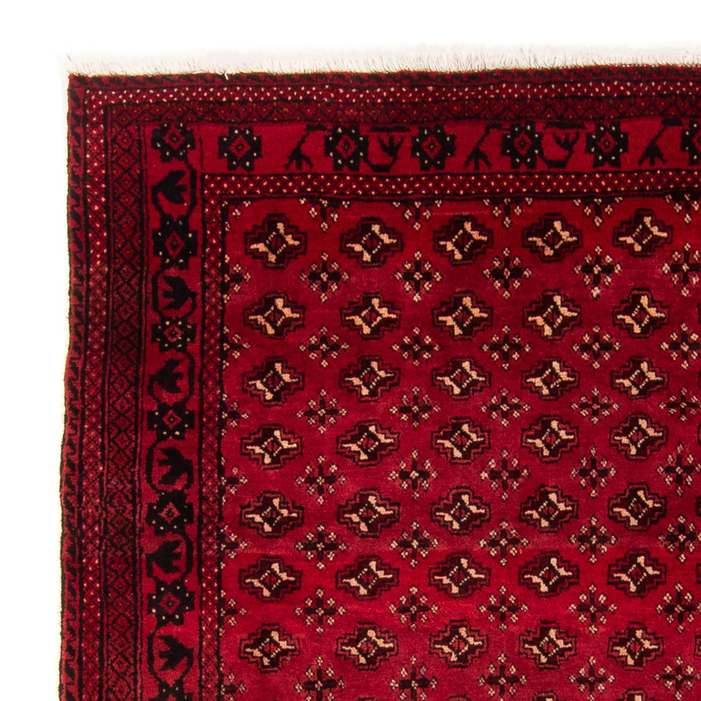 Tappeto Turkaman 239x130cm - Tappeto persiano