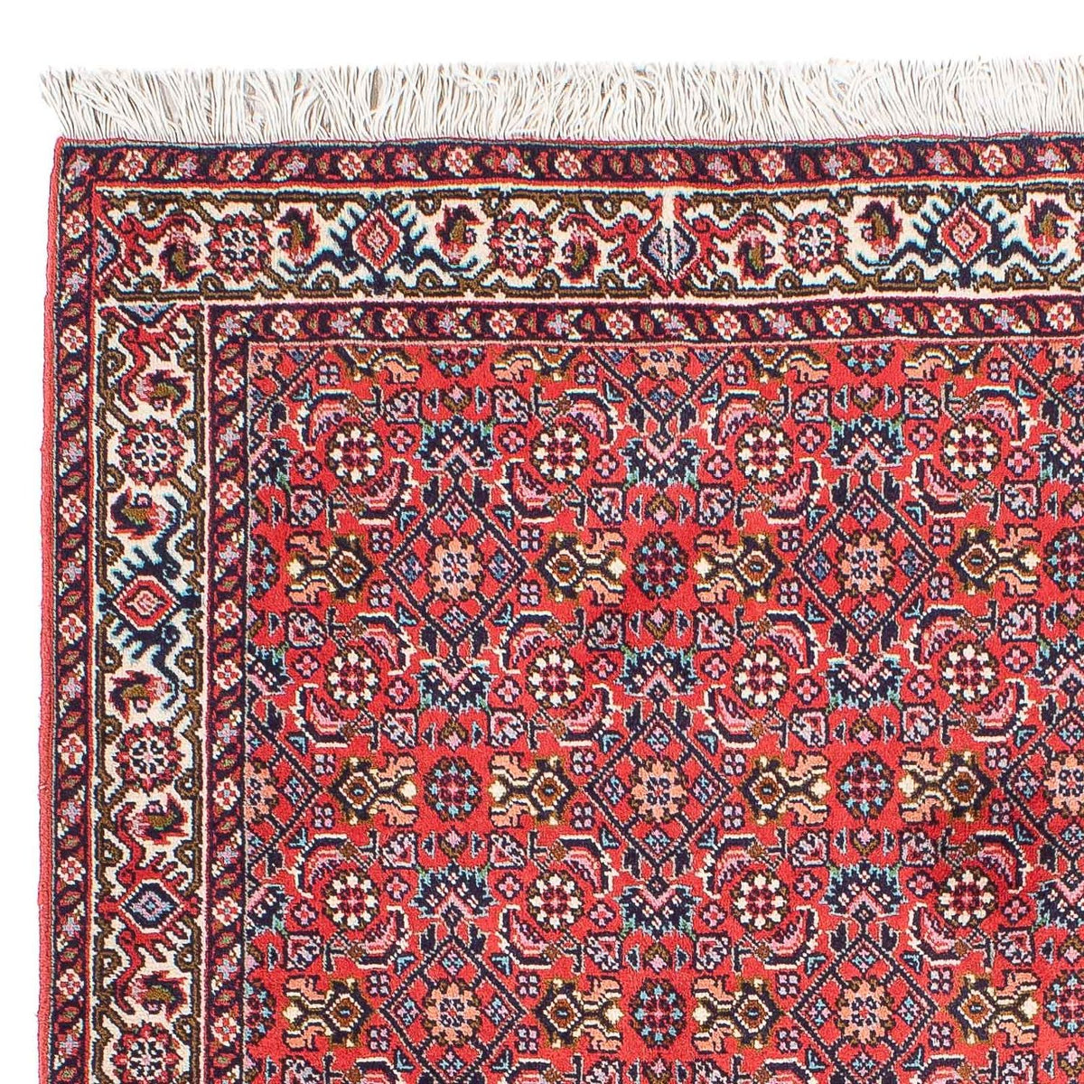 Bidjar - Takab Teppich 74x94cm - Perserteppich - rot