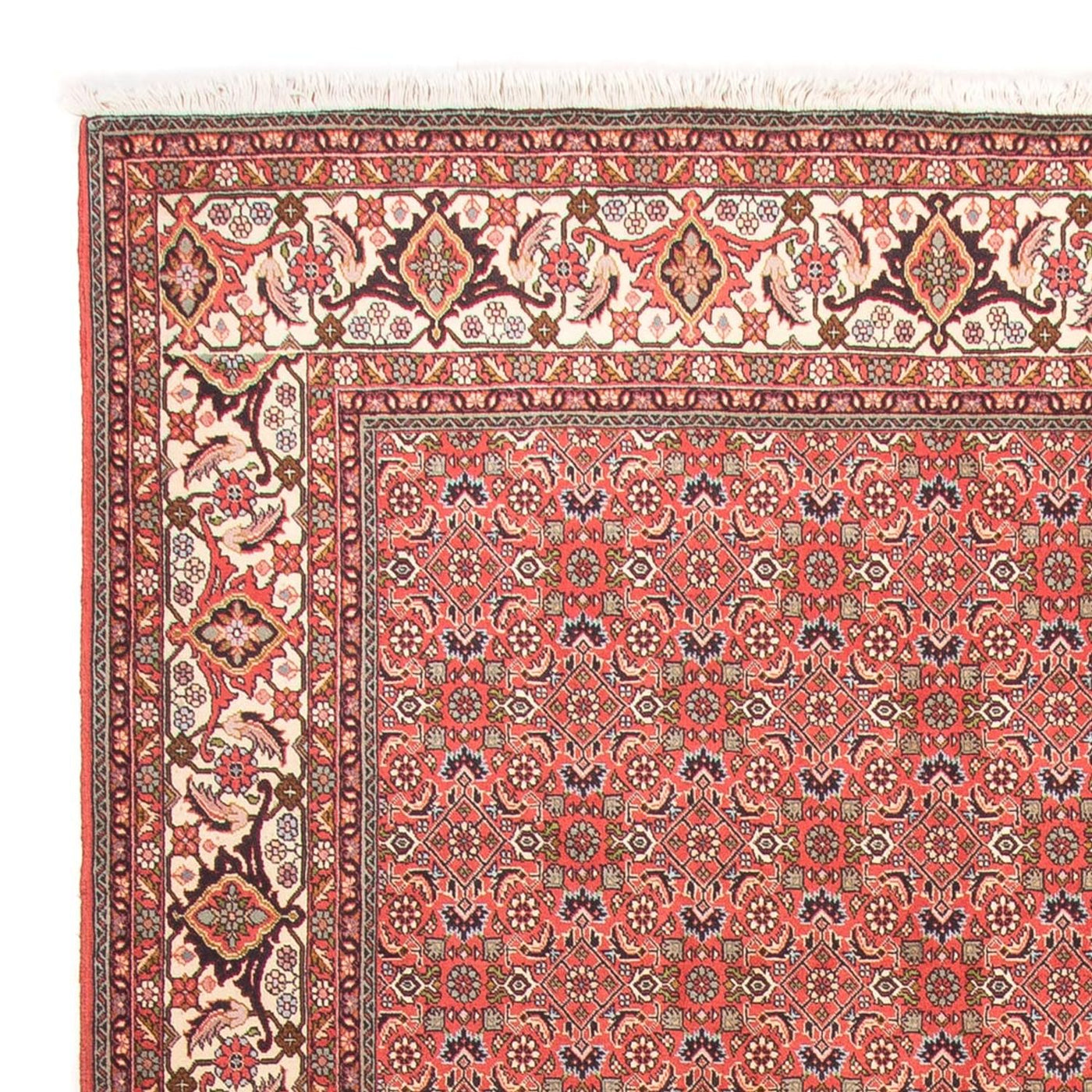 Bidjar - Takab Tapis 300x198cm - Tapis persan