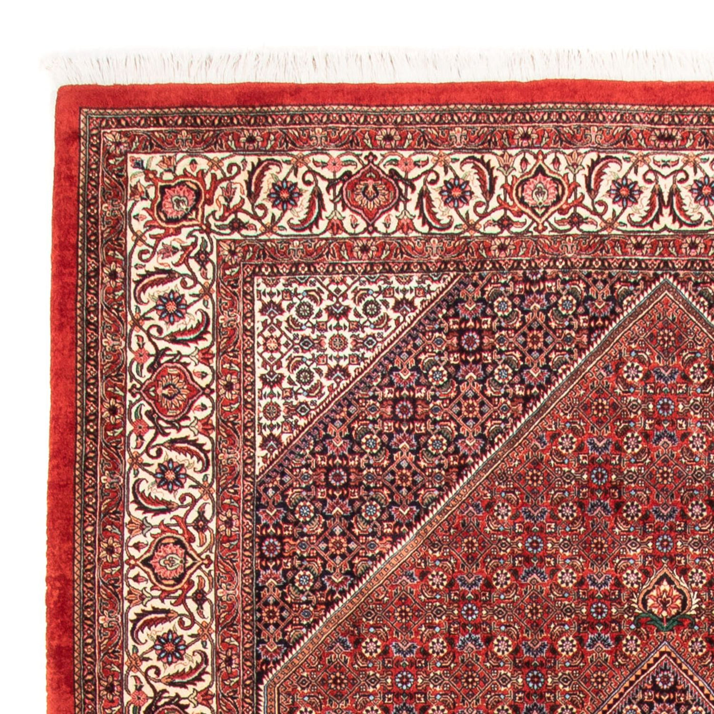 Bidjar - Takab Teppich 310x205cm - Perserteppich
