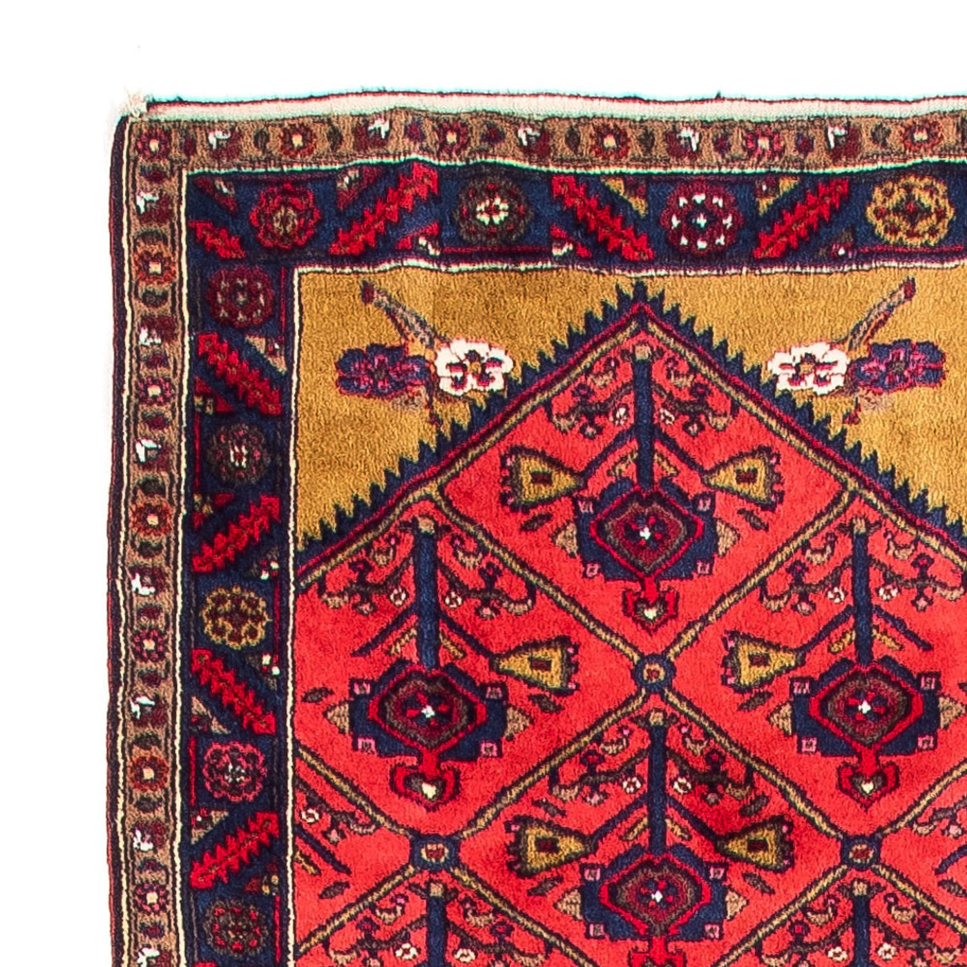 Kolyai Tappeto 688x83cm - Tappeto persiano