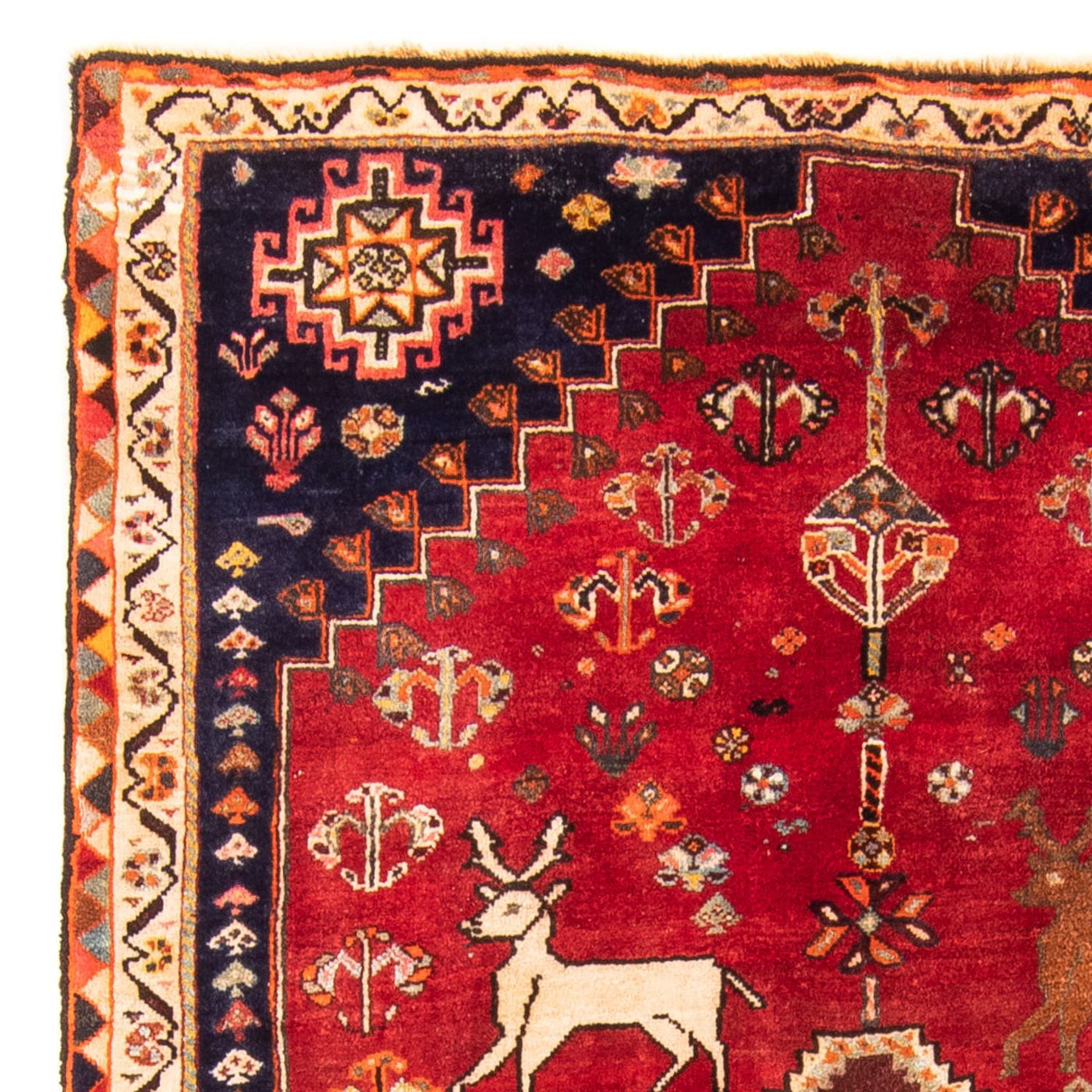 Ghashghai Tappeto 174x115cm - Tappeto persiano