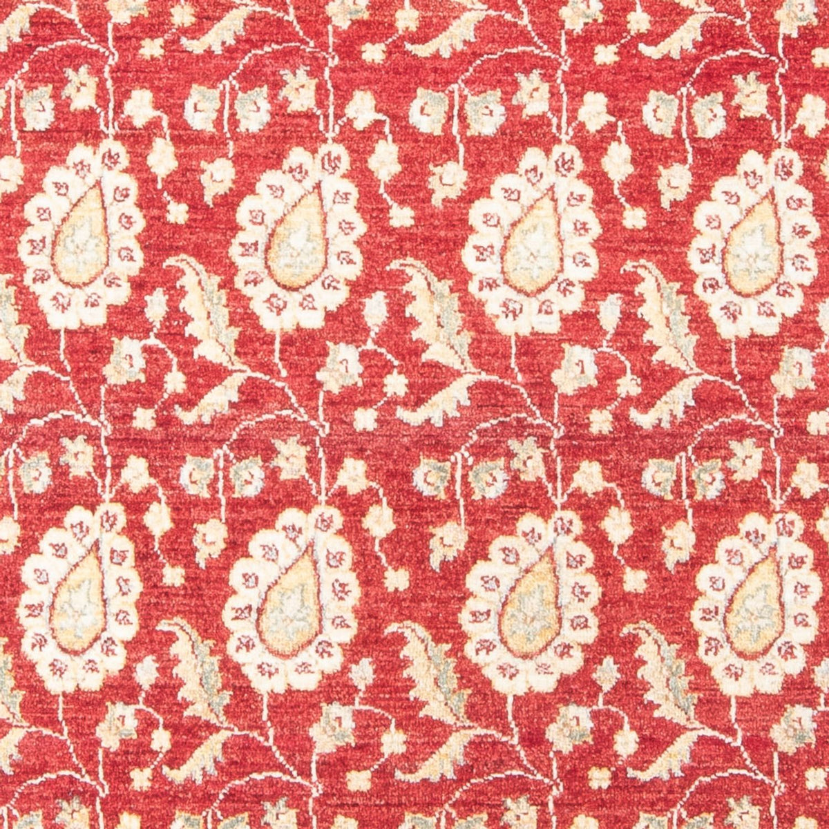 Tappeto Ziegler 121x174cm - Tappeto orientale