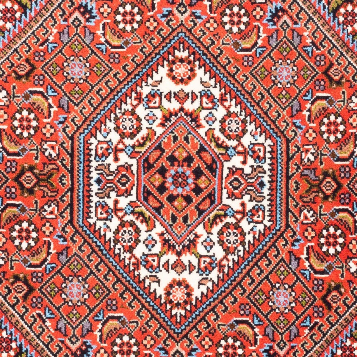 Perserteppich - Bidjar - Royal - 90 x 77 cm - rot