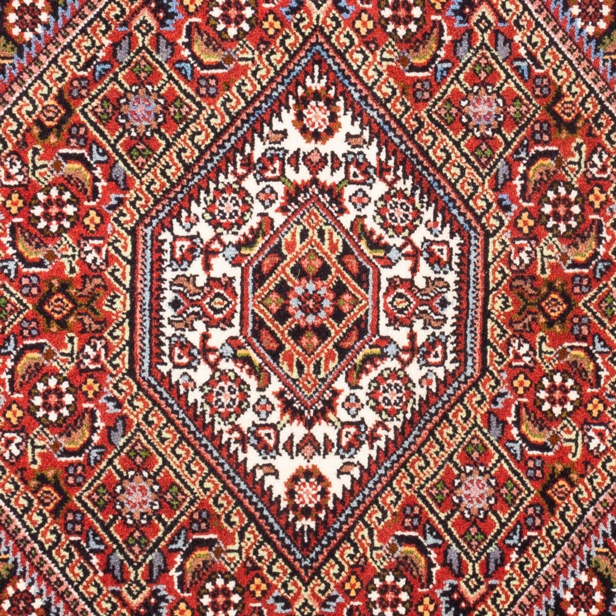 Perserteppich - Bidjar - Royal - 90 x 70 cm - rot