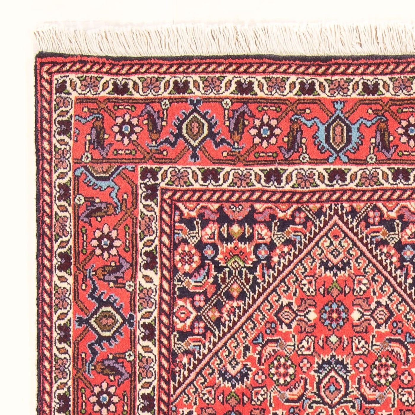 Bidjar - Bukan Tappeto 152x78cm - Tappeto persiano