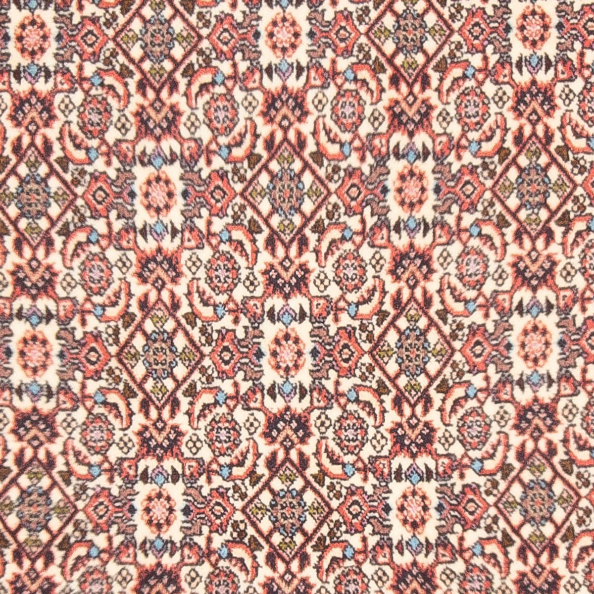 Perserteppich - Bidjar - Royal - 153 x 86 cm - beige