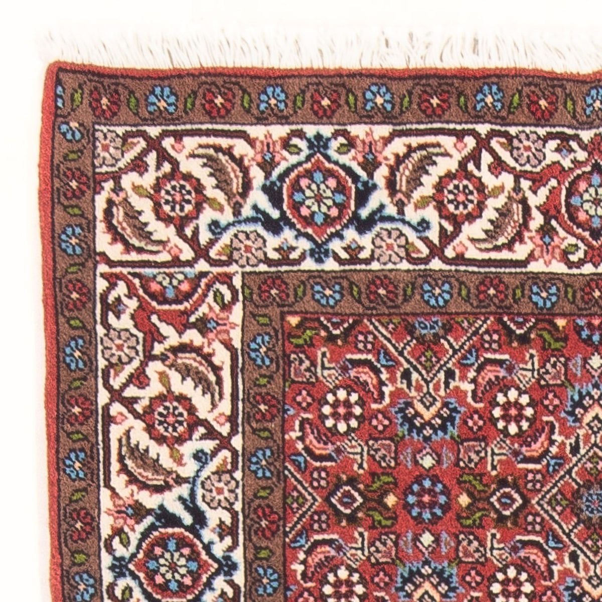 Bidjar - Bukan Tappeto 81x143cm - Tappeto persiano - rosso