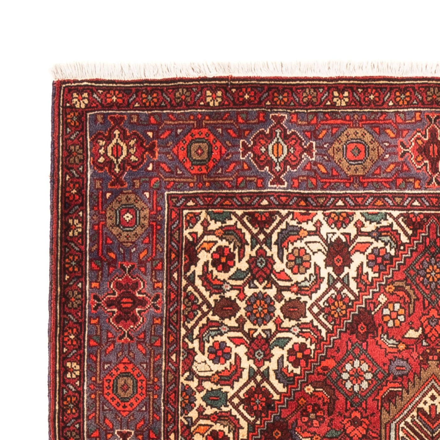 Gholtogh Tappeto 152x102cm - Tappeto persiano