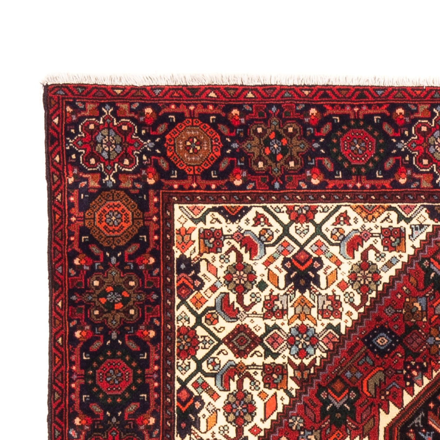 Tapis de Gholtogh Tapis 153x103cm - Tapis persan