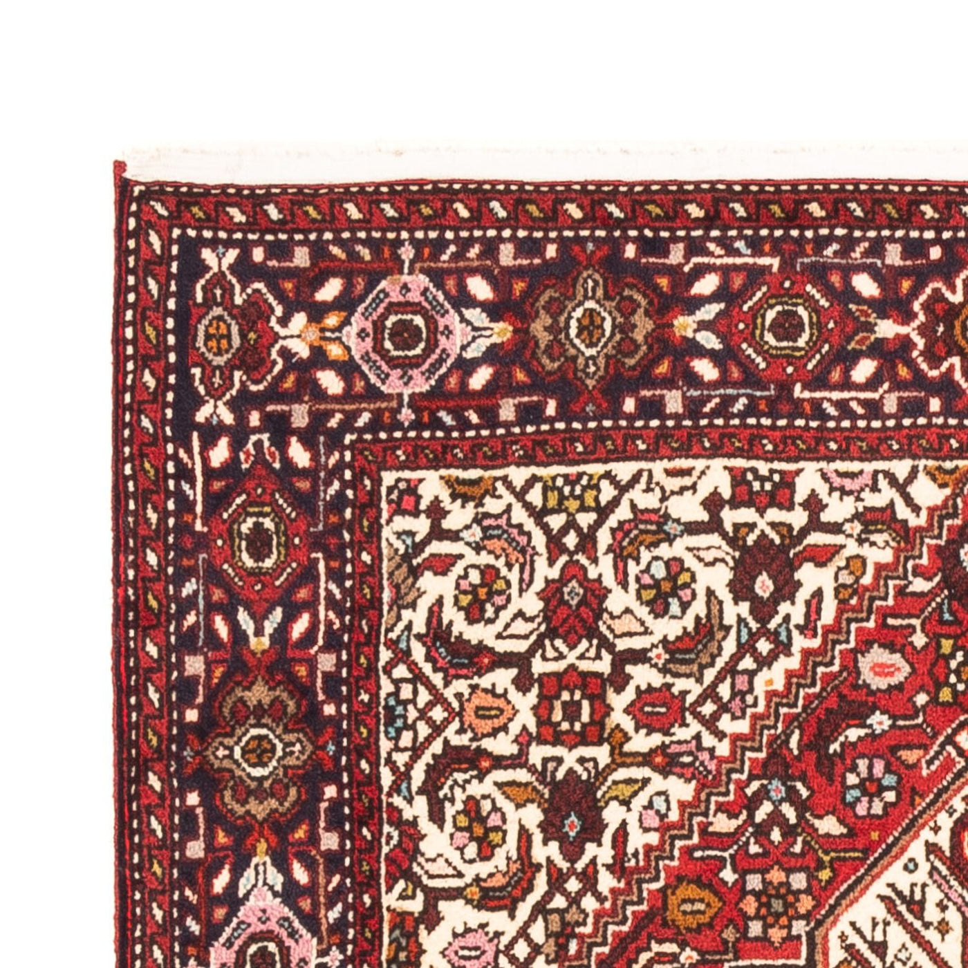 Tapis de Gholtogh Tapis 152x100cm - Tapis persan