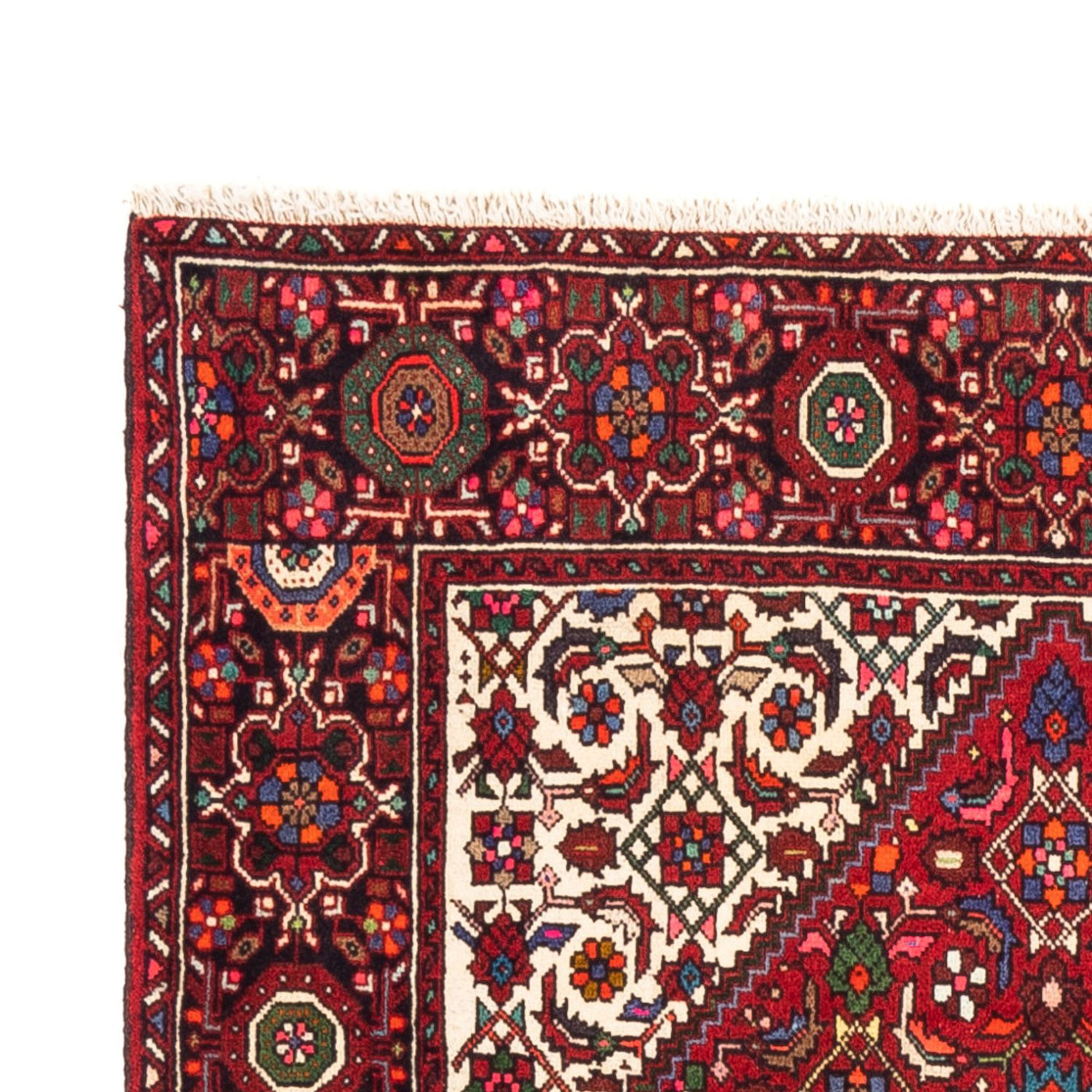 Tapis de Gholtogh Tapis 163x105cm - Tapis persan