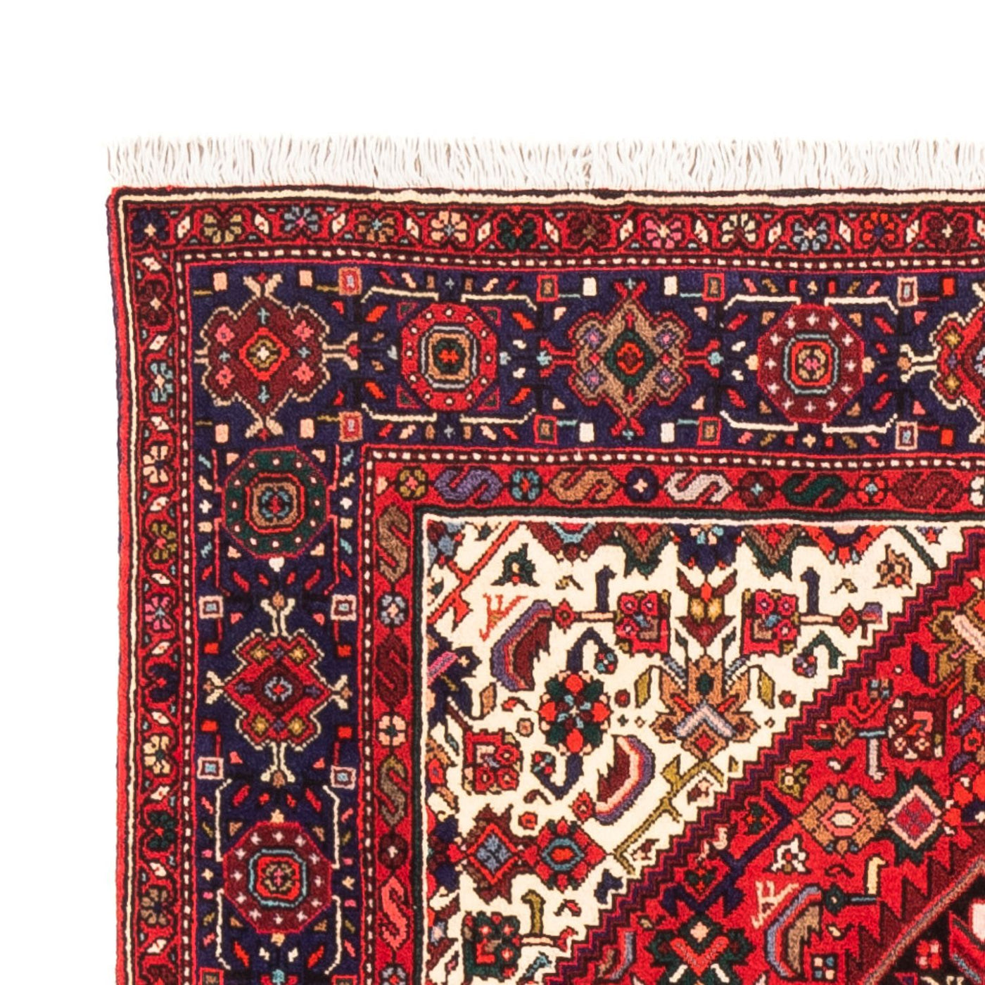 Tapis de Gholtogh Tapis 150x98cm - Tapis persan