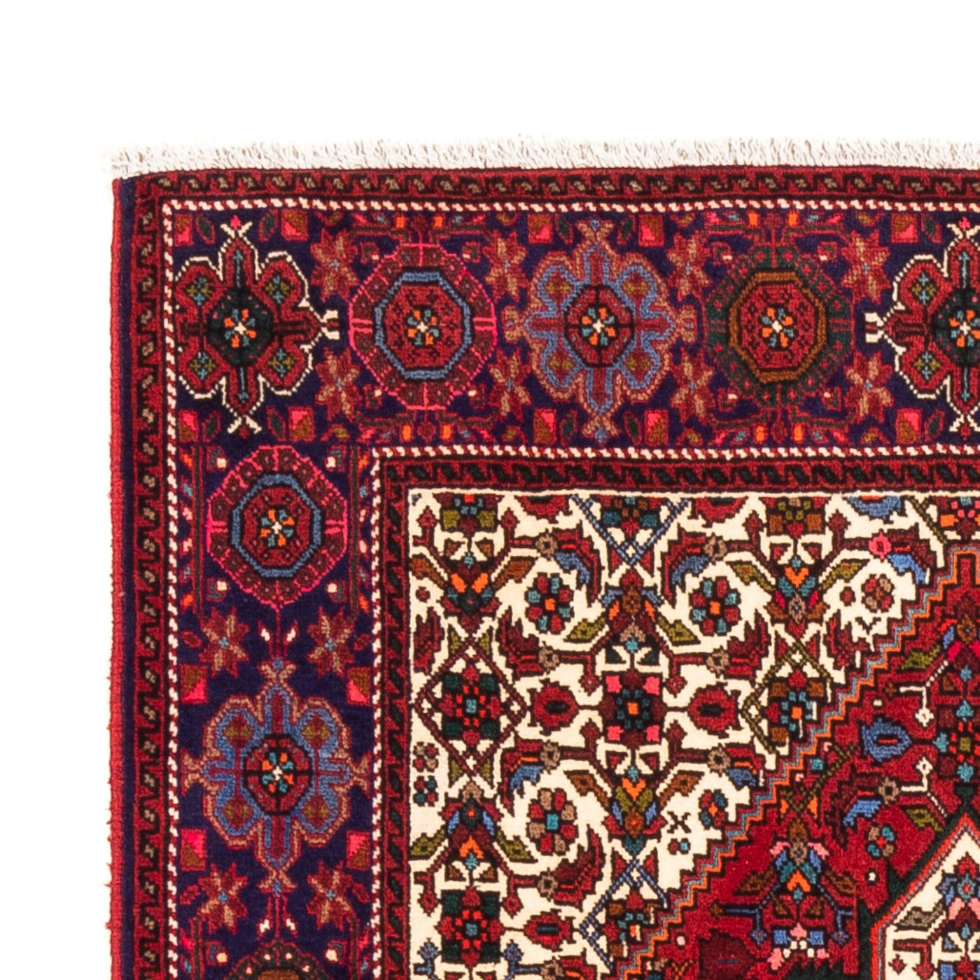 Tapis de Gholtogh Tapis 155x100cm - Tapis persan