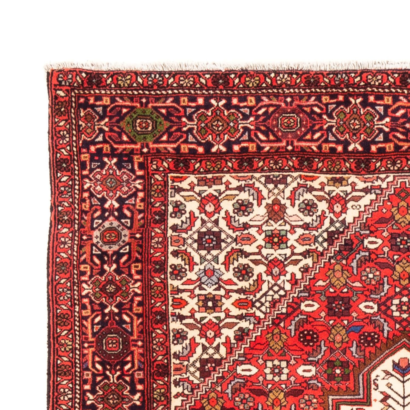 Tapis de Gholtogh Tapis 147x100cm - Tapis persan