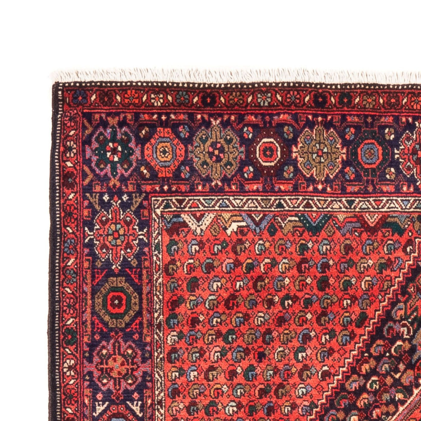 Tapis de Gholtogh Tapis 148x100cm - Tapis persan