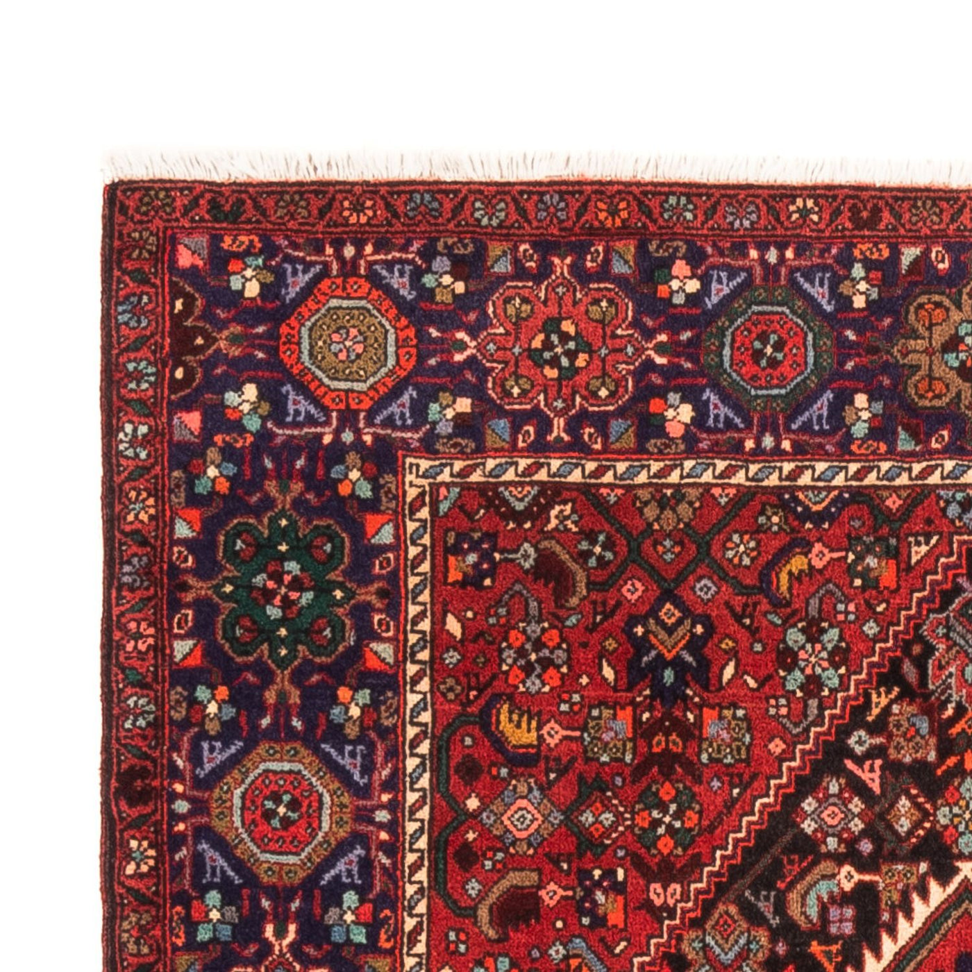 Gholtogh Teppich 152x100cm - Perserteppich