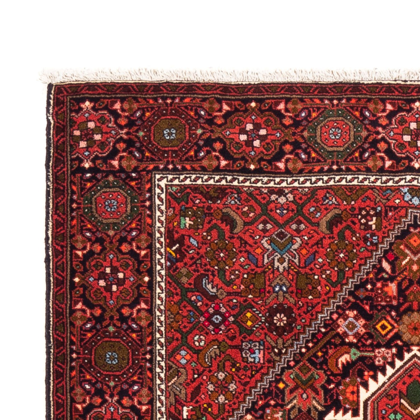 Gholtogh Tappeto 155x103cm - Tappeto persiano