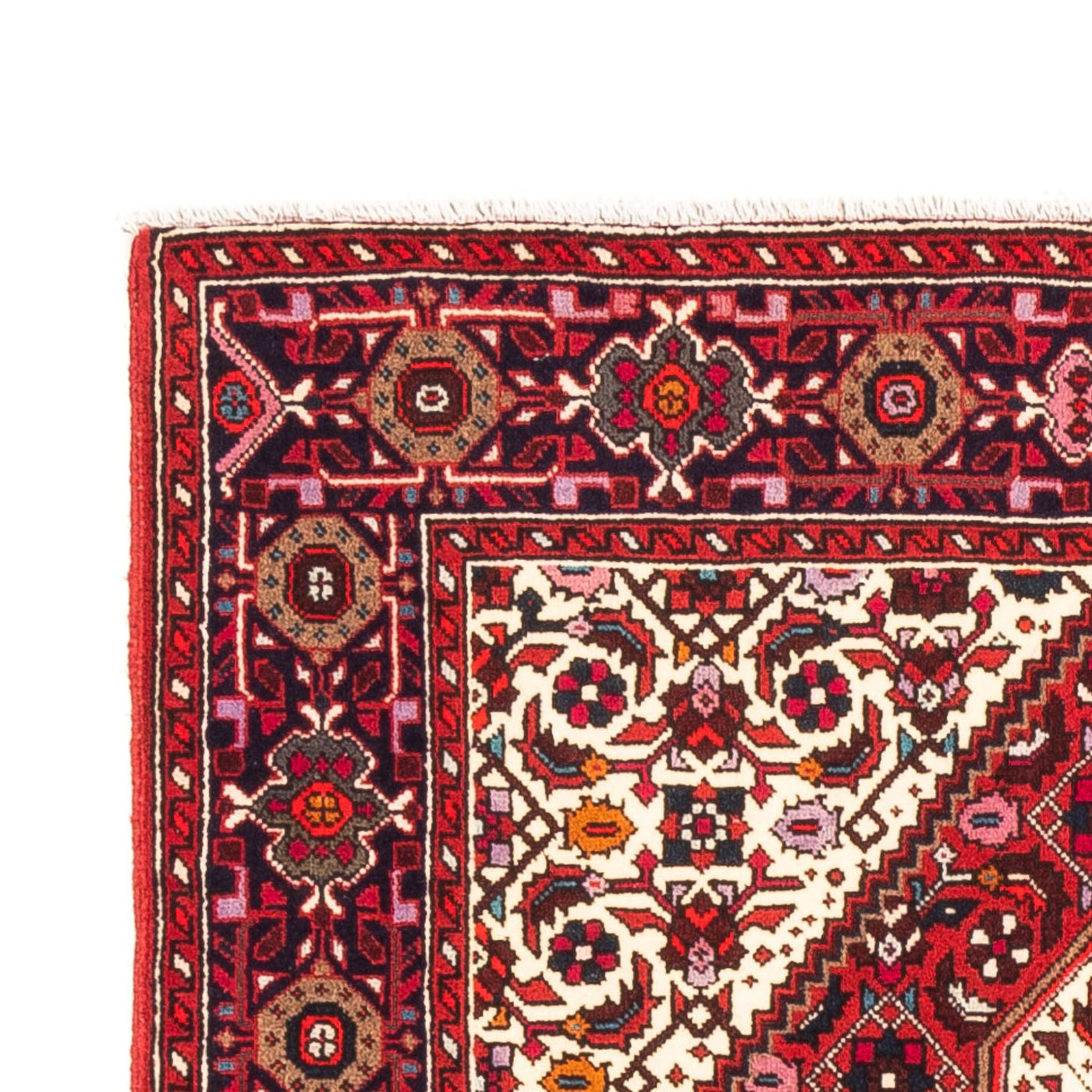 Tapis de Gholtogh Tapis 148x98cm - Tapis persan