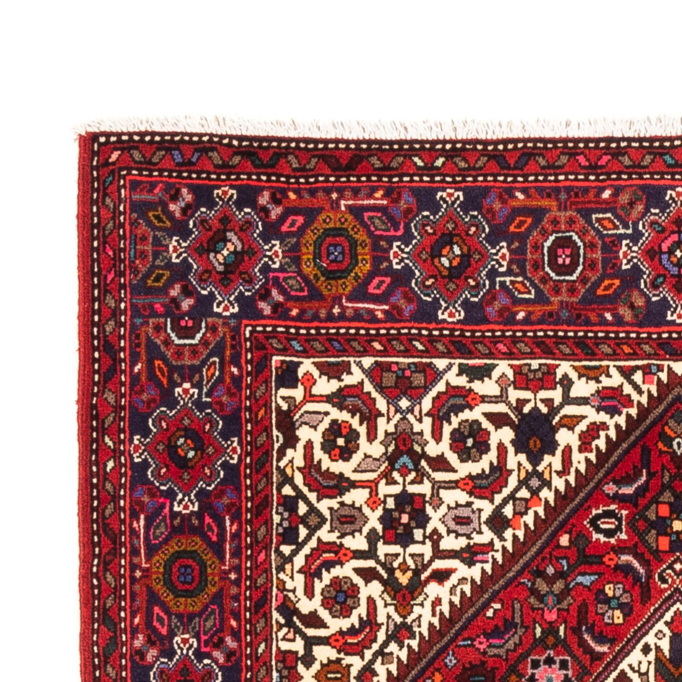 Tapis de Gholtogh Tapis 152x100cm - Tapis persan