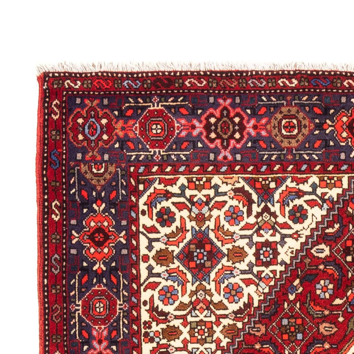 Tapis de Gholtogh Tapis 155x100cm - Tapis persan