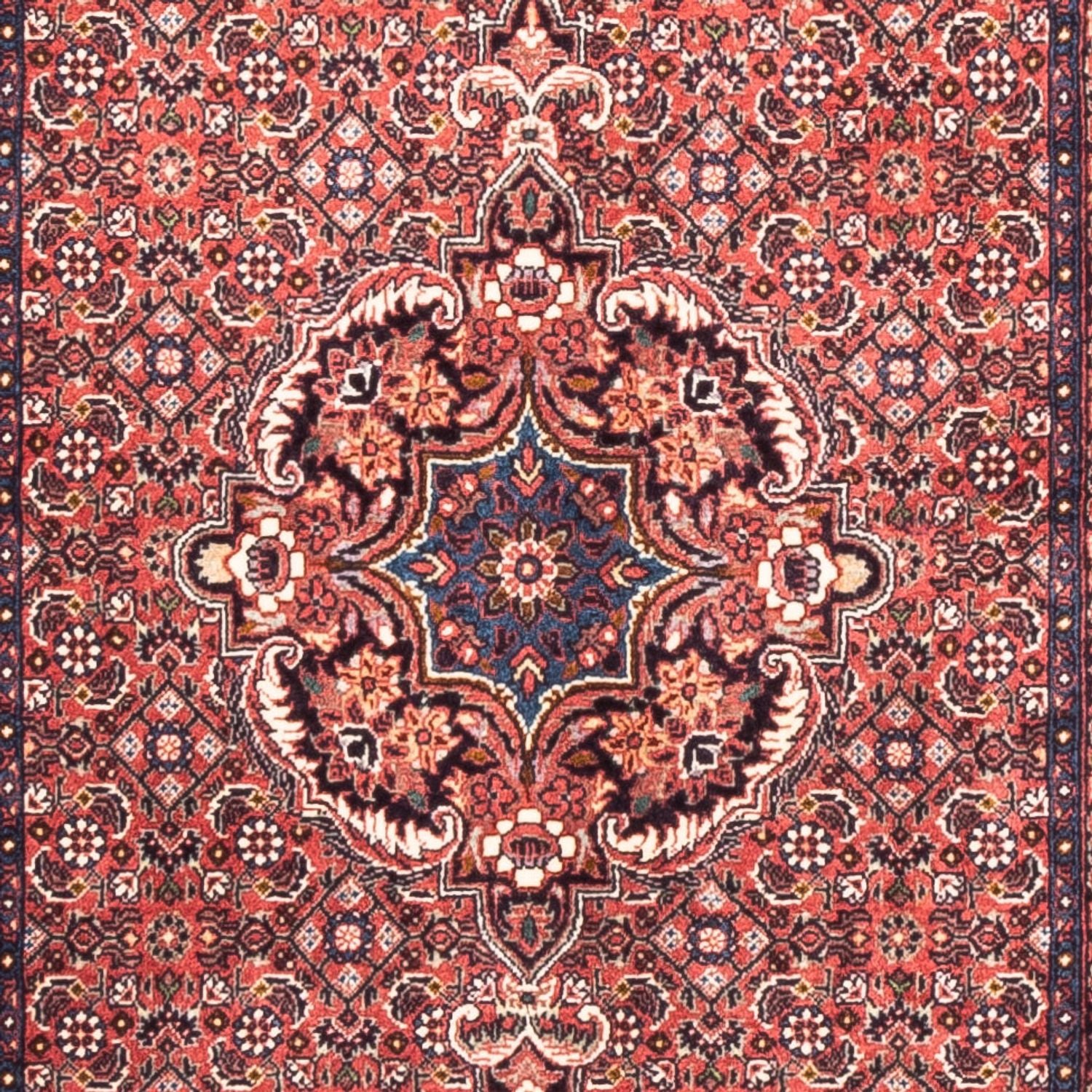 Läufer Perser - Bidjar - 238 x 73 cm - rot