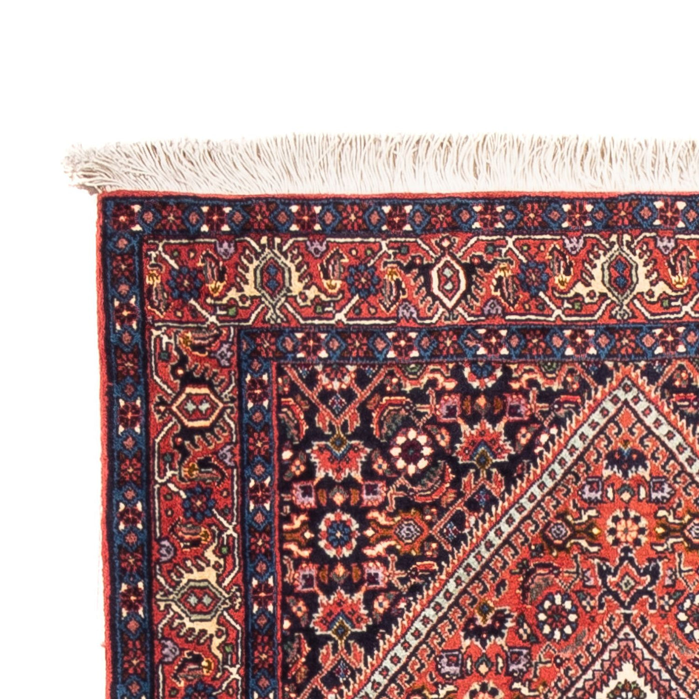 Tapis de Bidjar Tapis 226x77cm - Tapis persan